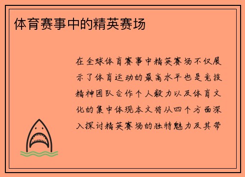 体育赛事中的精英赛场