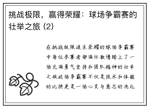 挑战极限，赢得荣耀：球场争霸赛的壮举之旅 (2)